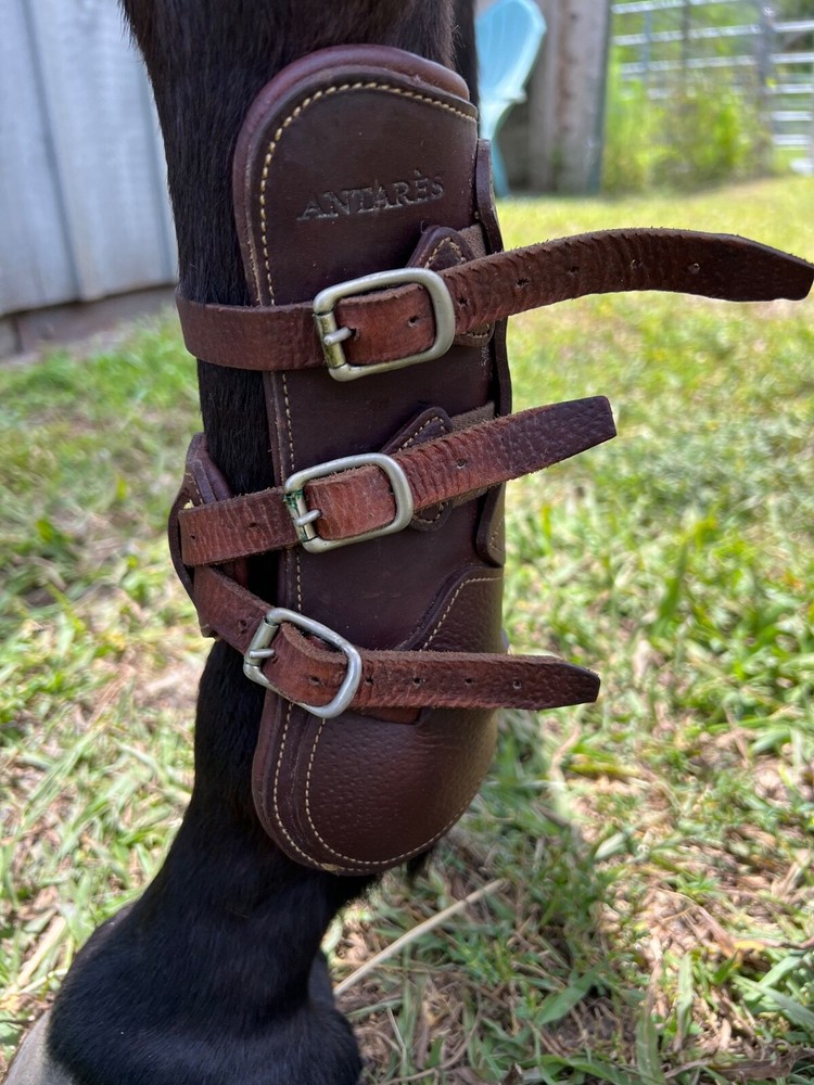 Antares Open Front Leather Equitation Boots