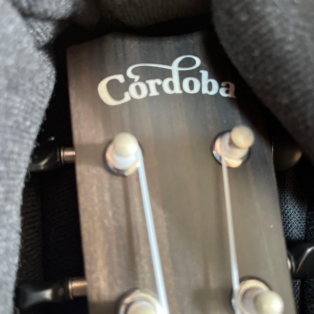 Cordoba ukulele c25