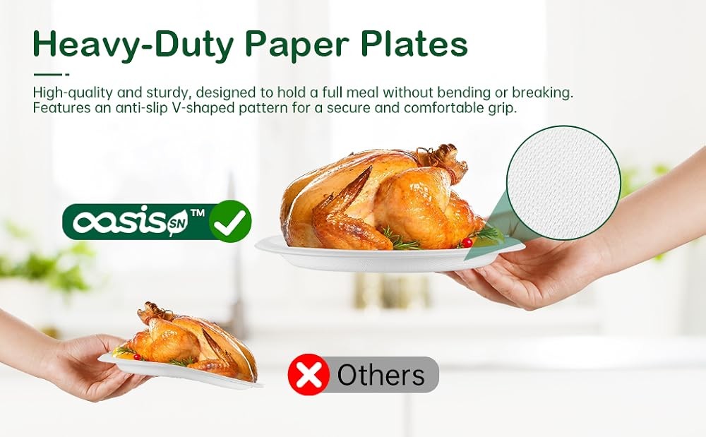 10 Inch postable Disposable Paper Plates, Lar Round Dinner Plates,
