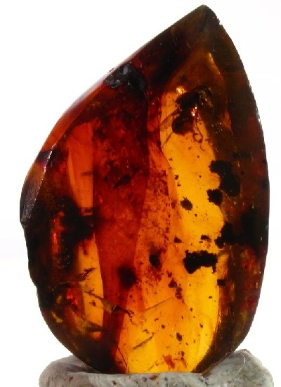 ++ Winged Ant!! In Mexican Amber Specimen 4g