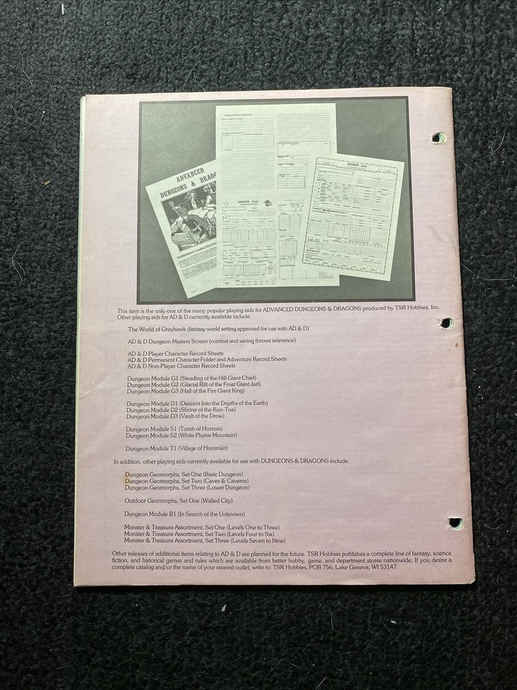 Advanced Dungeons & Dragons: Permanent Character Folder (9029, 1979)