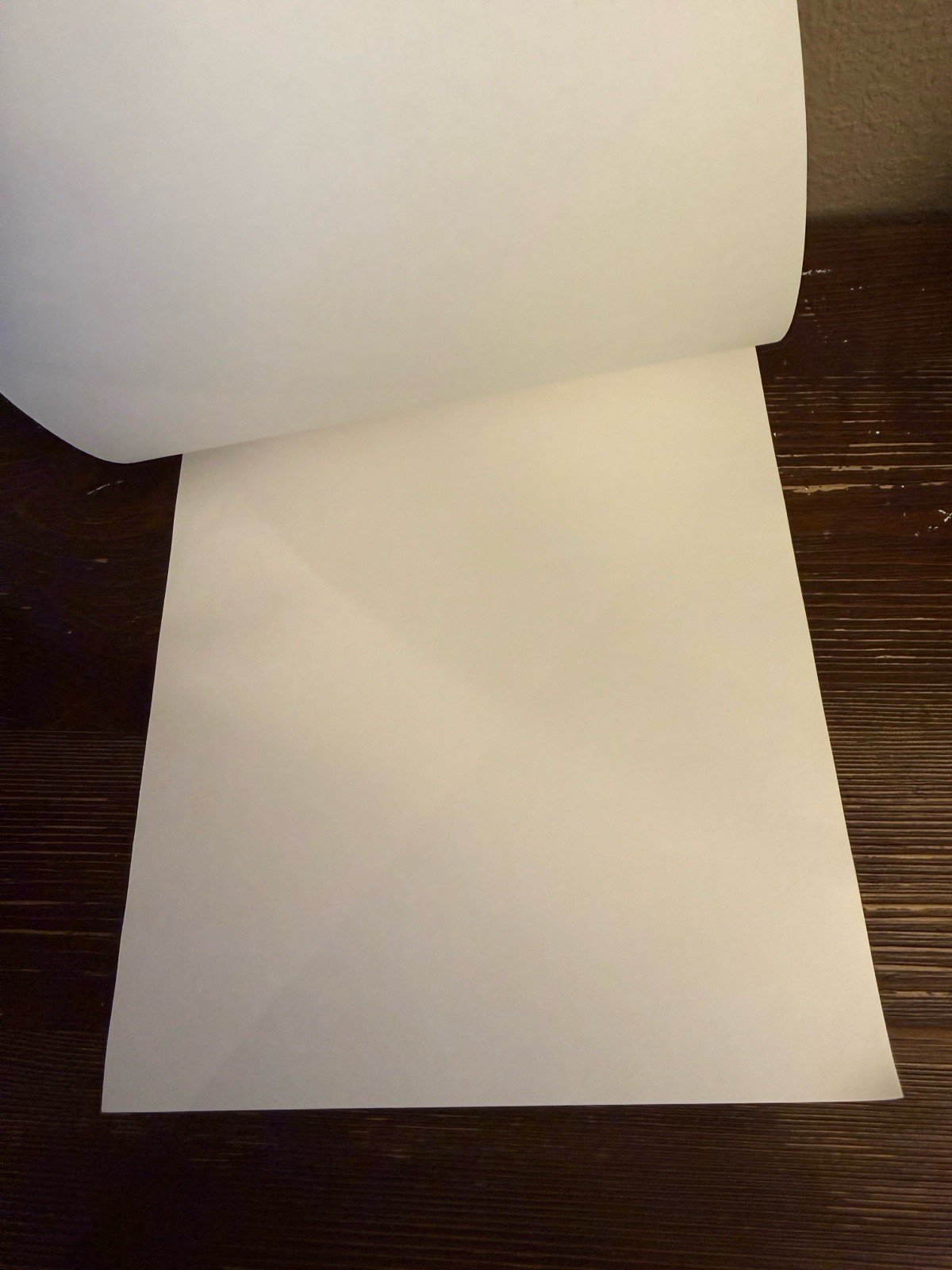 NEW Vintage Mead Typing Paper 60 Sheets 8 1/2 X 11 Inches