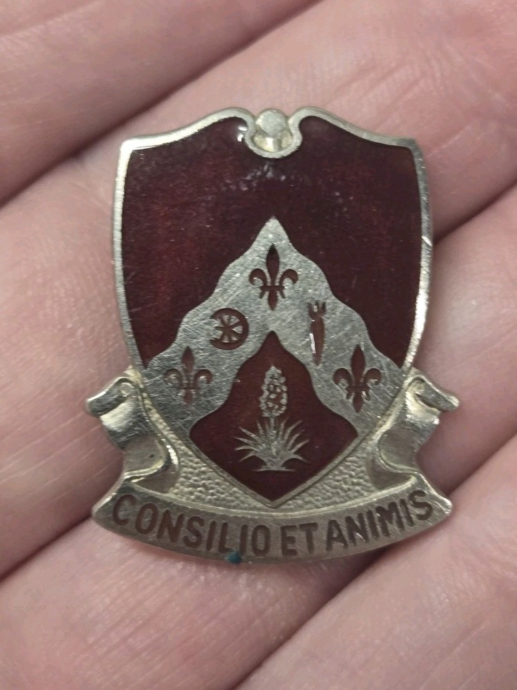 Original WWII 328th Support Battalion Screwback DI / DUI