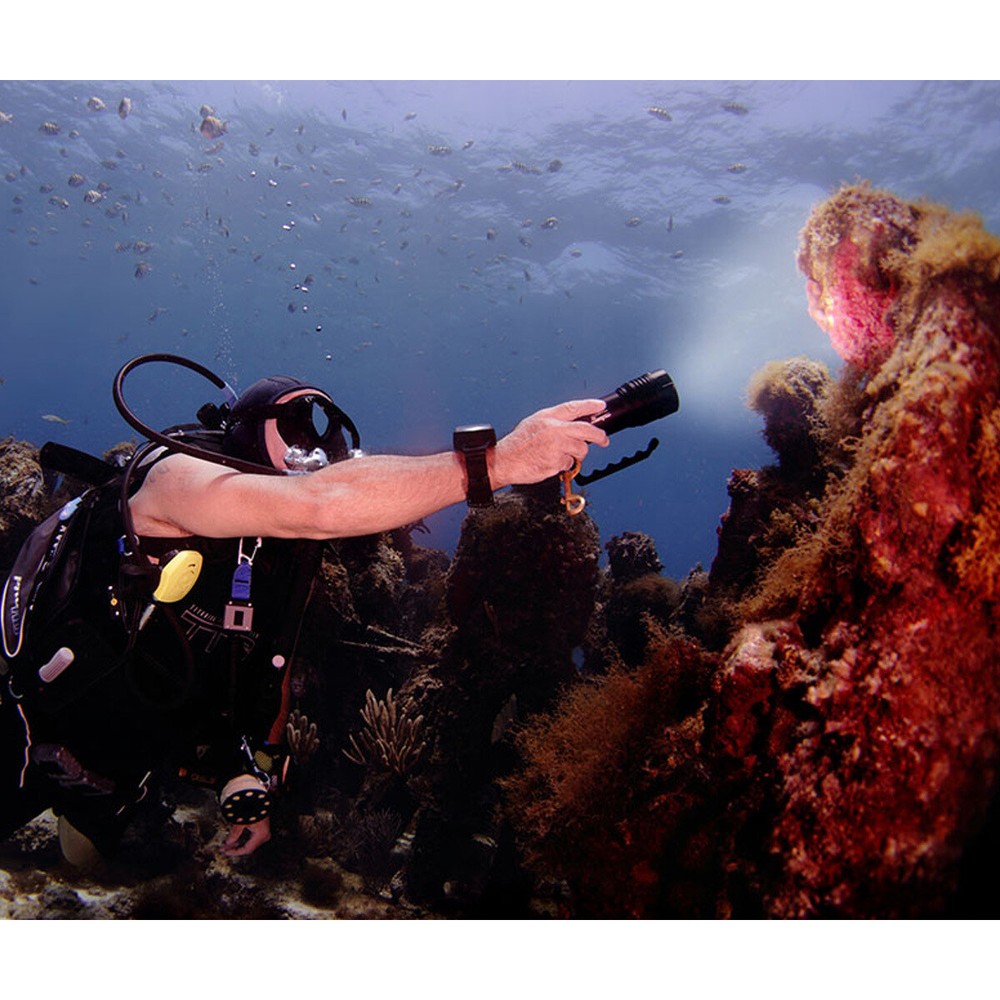 OrcaTorch D860 4200 Lumens Light