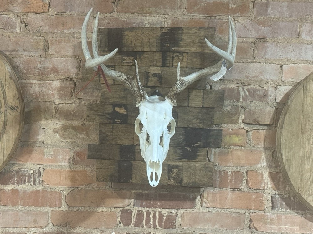Rustic Bourbon Barrel Broken Stave Skull Plaques “Free Shipping”