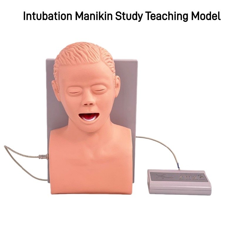 Intubation Manikin Study Teaching Model Airway Management Trainer W/Electronic