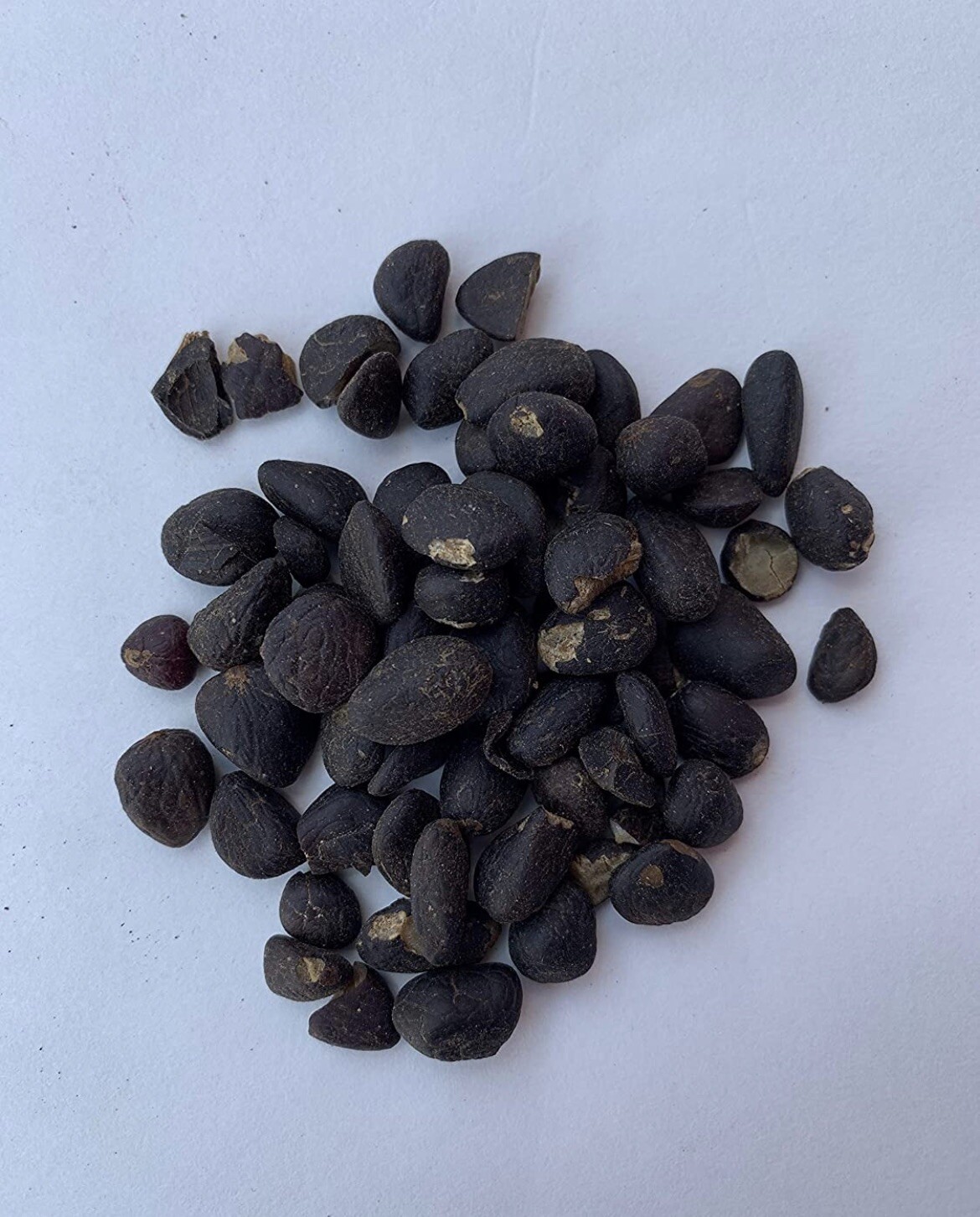 ASHE DE SANTO 4 OZ SANTERIA IFA RELIGION