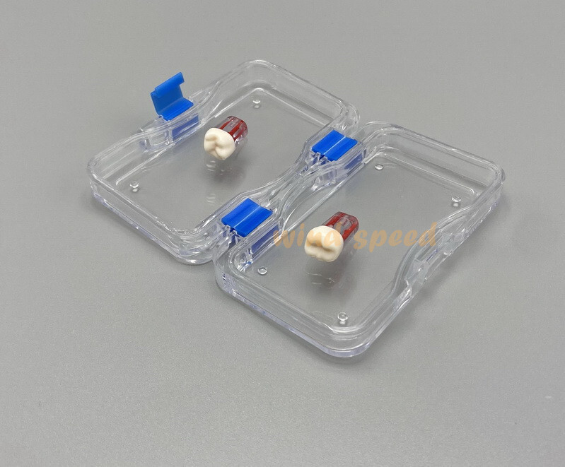 Denture False Teeth Membrane Case Container Hinged Display Box Jewelry Retainer