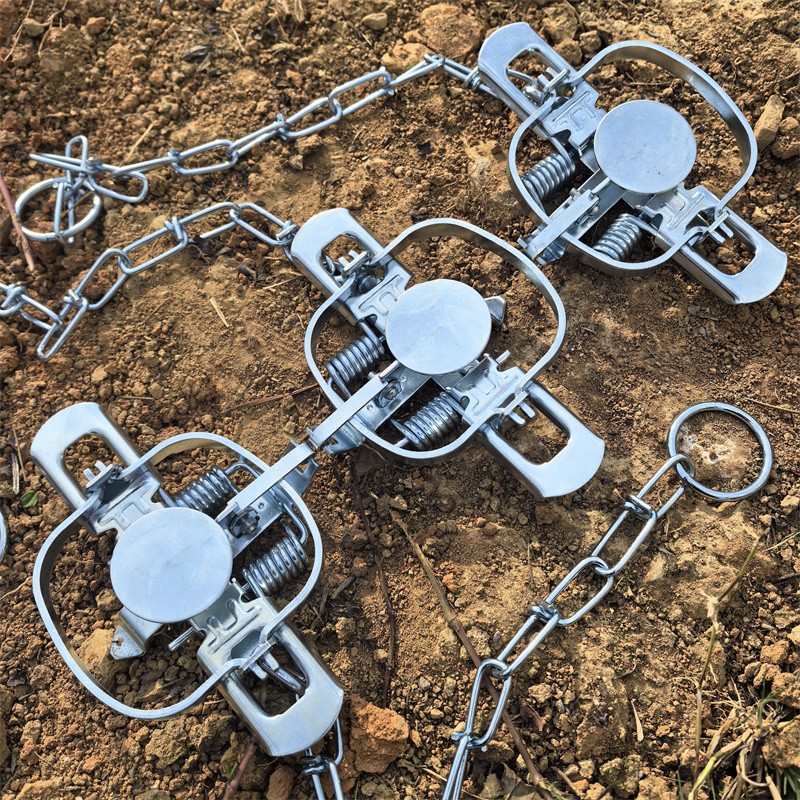 3 Packs Coil Spring Traps Raccoon Mink Muskrat Trapping Nuisance Hare Rat Nutria