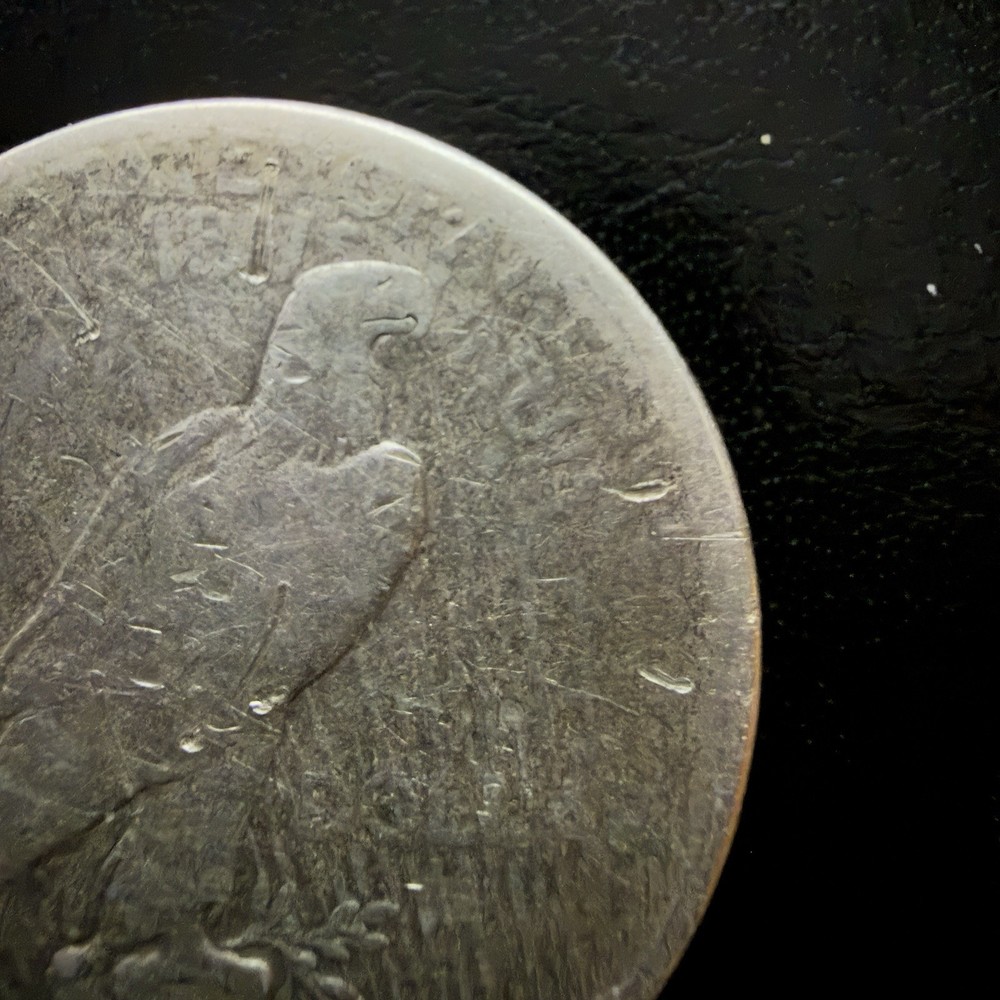 1923-S Peace Silver Dollar $1 Low Grade Nice Stacker