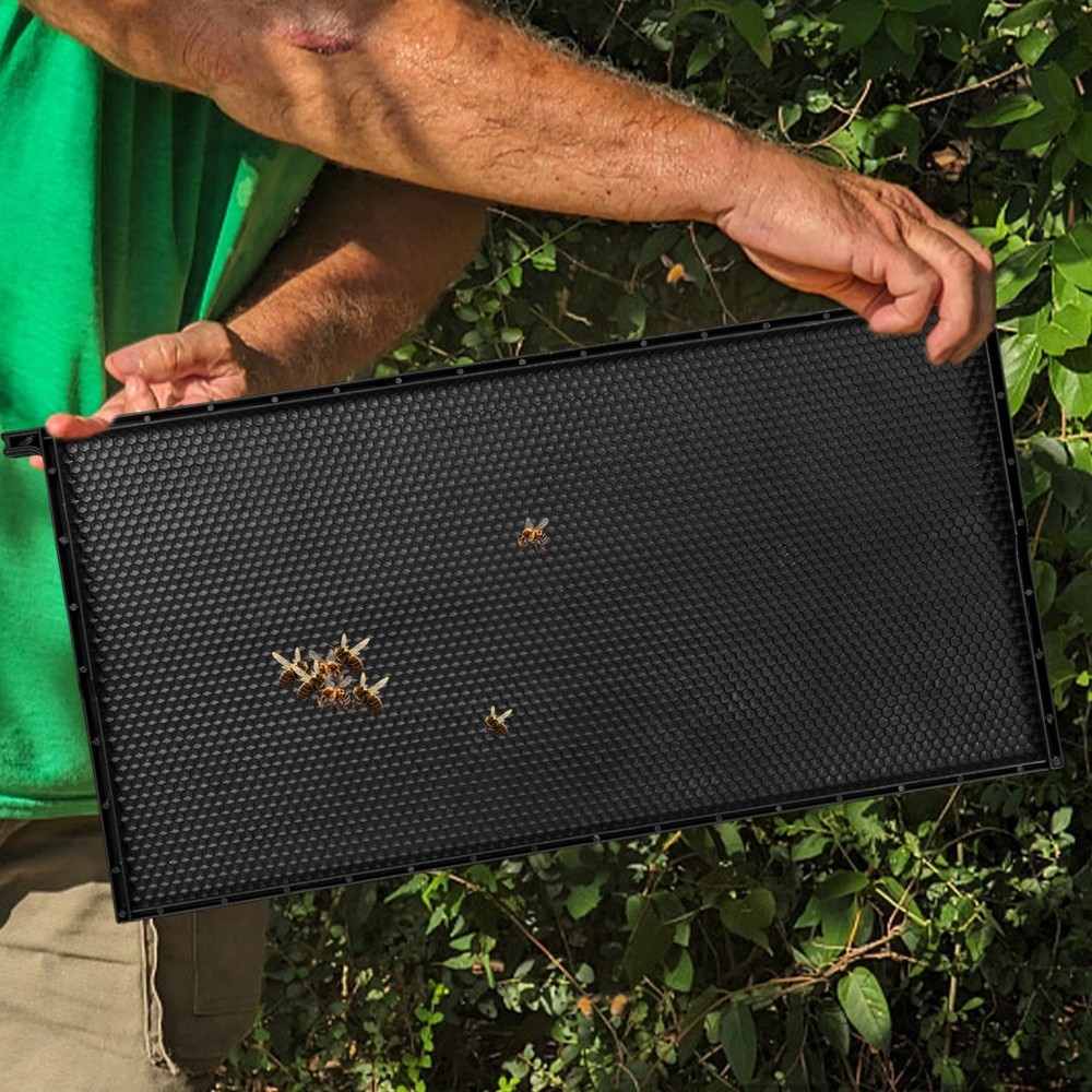 Integrated Plastic Beehive Frame with Nest Foundation for Beekeeping Efficiency