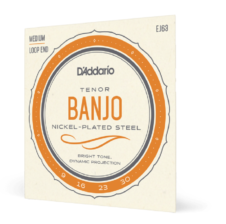 D'Addario EJ63 Tenor Banjo Strings, Nickel 9-30 4 String C-G-D-A Tuning