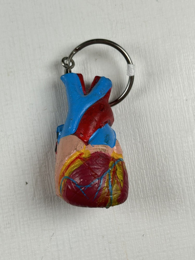 Model Heart Keychain