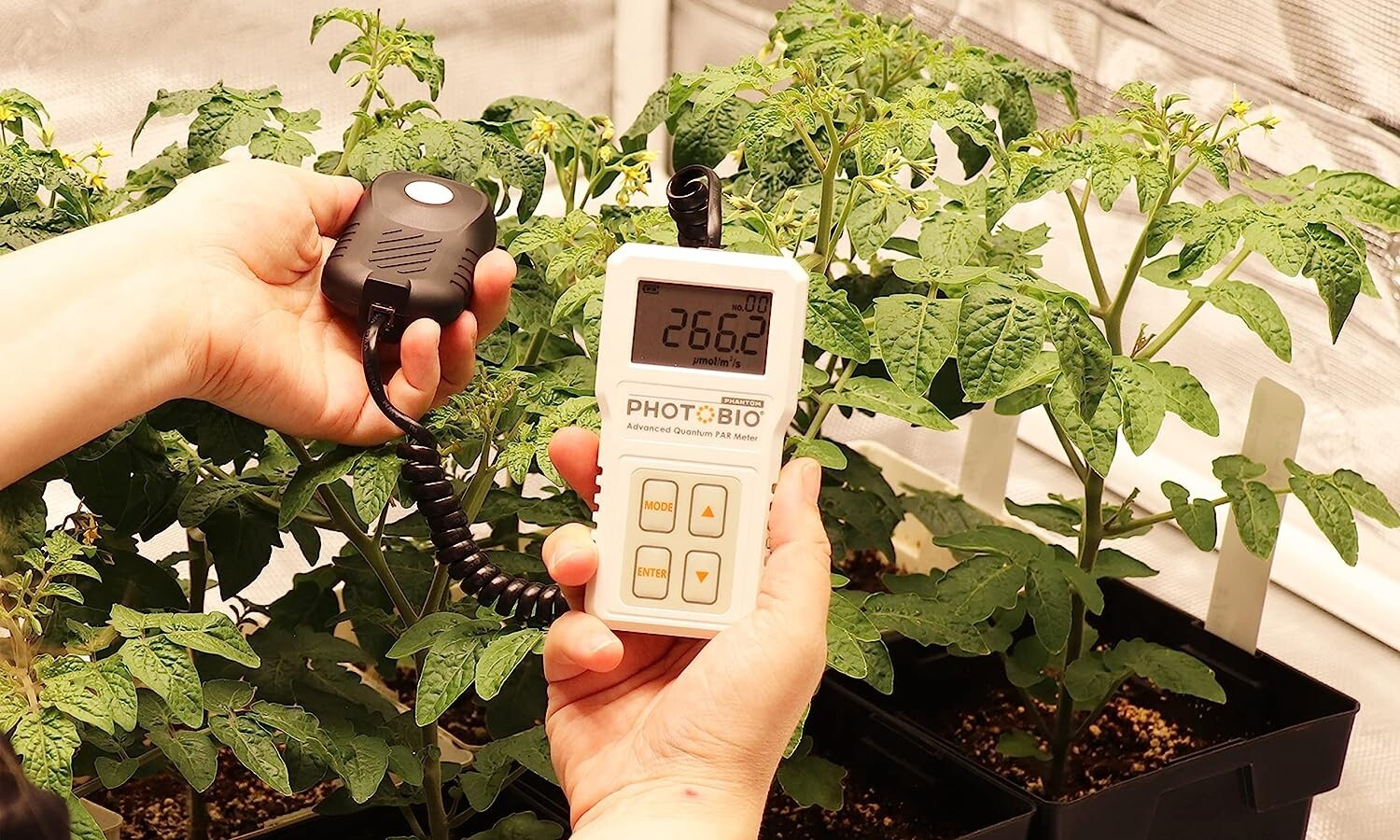 PHOTOBIO Advanced Quantum Sensor PAR Meter (Micromoles) ADVANCED NEW 2023 MODEL