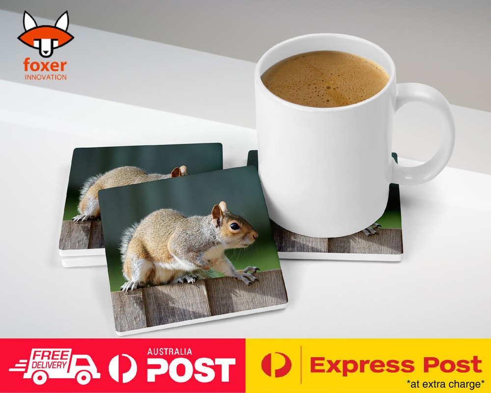 COASTER COFFEE DRINKING MAT|CUTE ADORABLE SQUIRREL RODENT #22