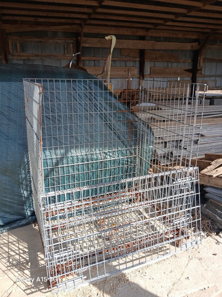 Collapsible Wire Container
