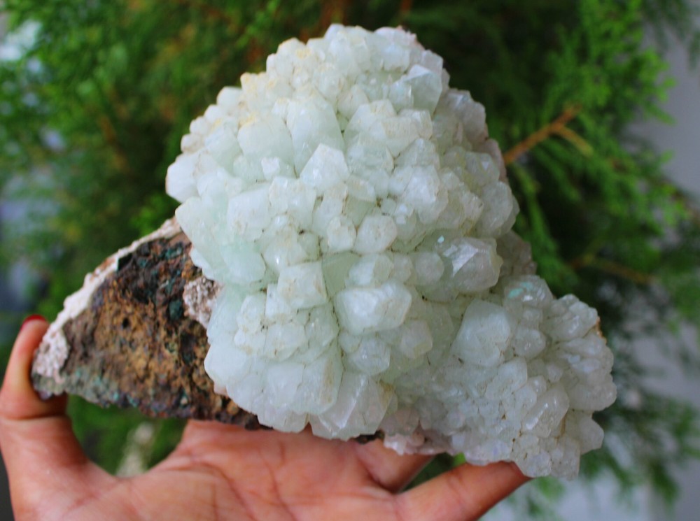 Green Apophyllite Crystals Format On Matrix Minerals Specimen