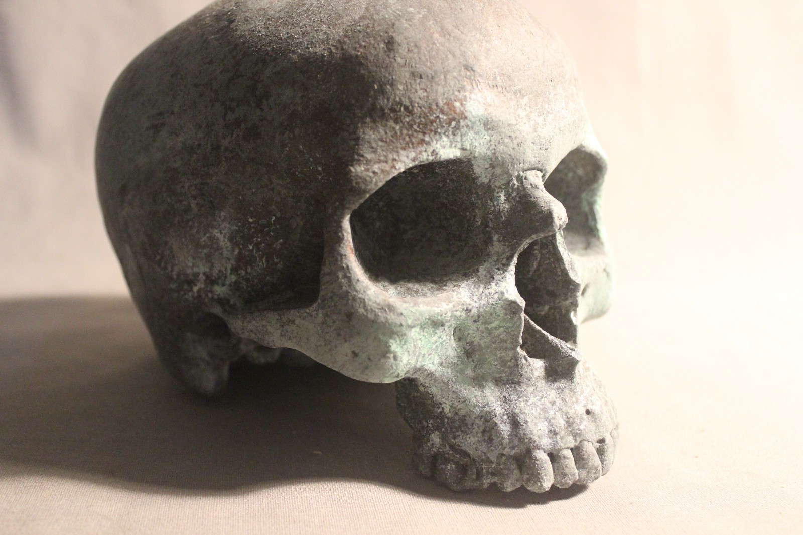 Human Skull Anatomical Medical Death Oddity Theater Doctor Funeral Postmortem