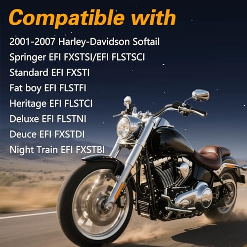 EFI Fuel Check Valve Assembly Compatible with Harley-Davidson Softail Fat