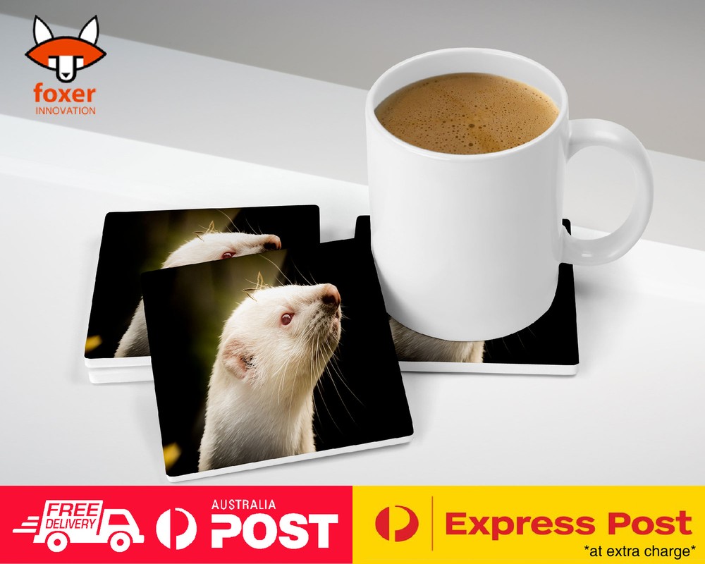 COASTER COFFEE DRINKING MAT|FERRETS PET ANIMAL 9