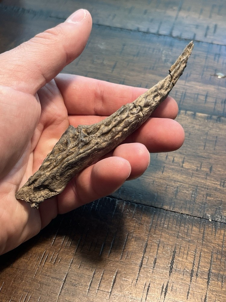 Crocodile Angular Lower Jaw Bone Dinosaur Age Fossil Hell Creek Form SD