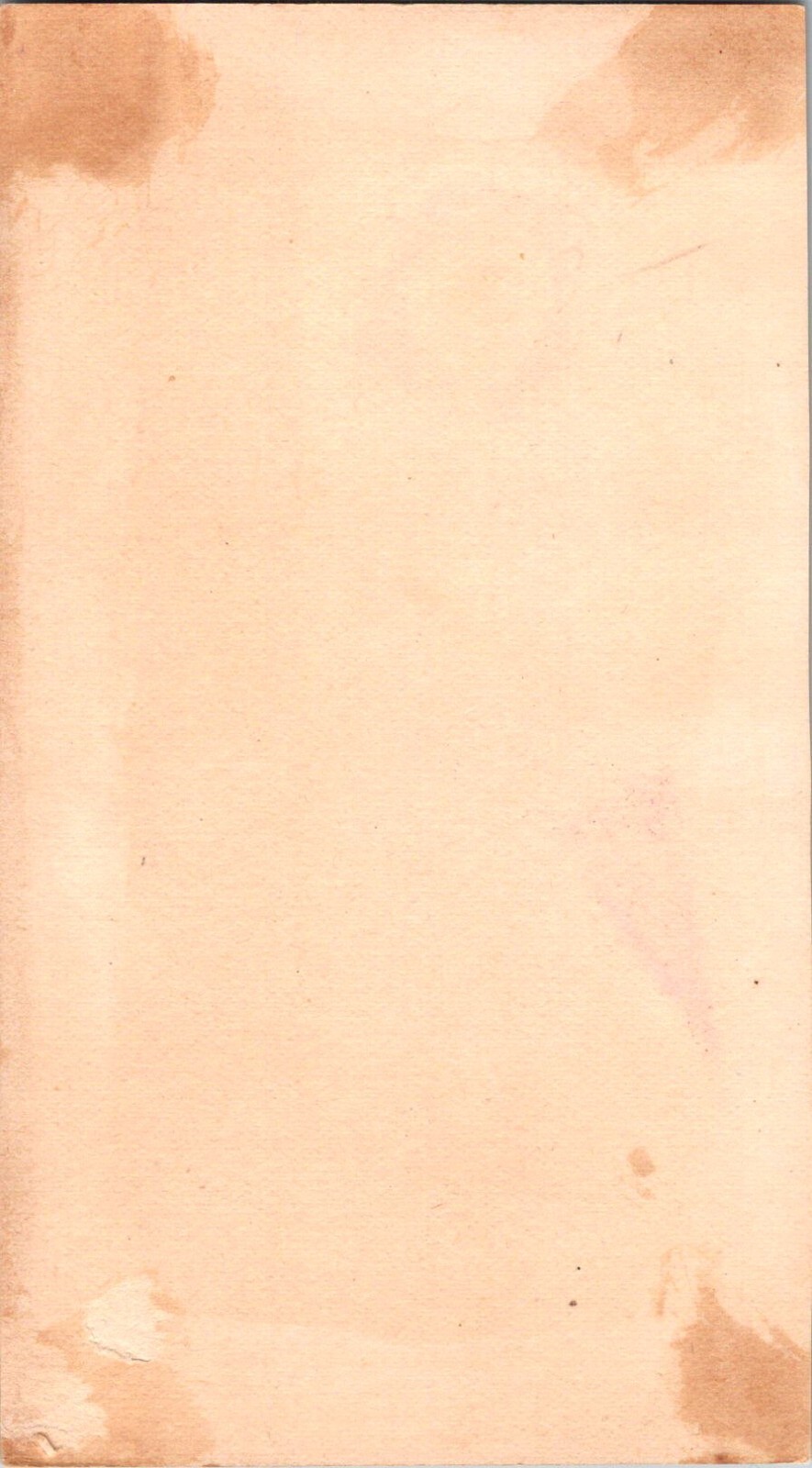 1882 J S Larkin & Co BORAXINE Redhead Girl on Beach Victorian Trade Card