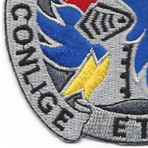 202nd Military Intelligence Battalion Patch