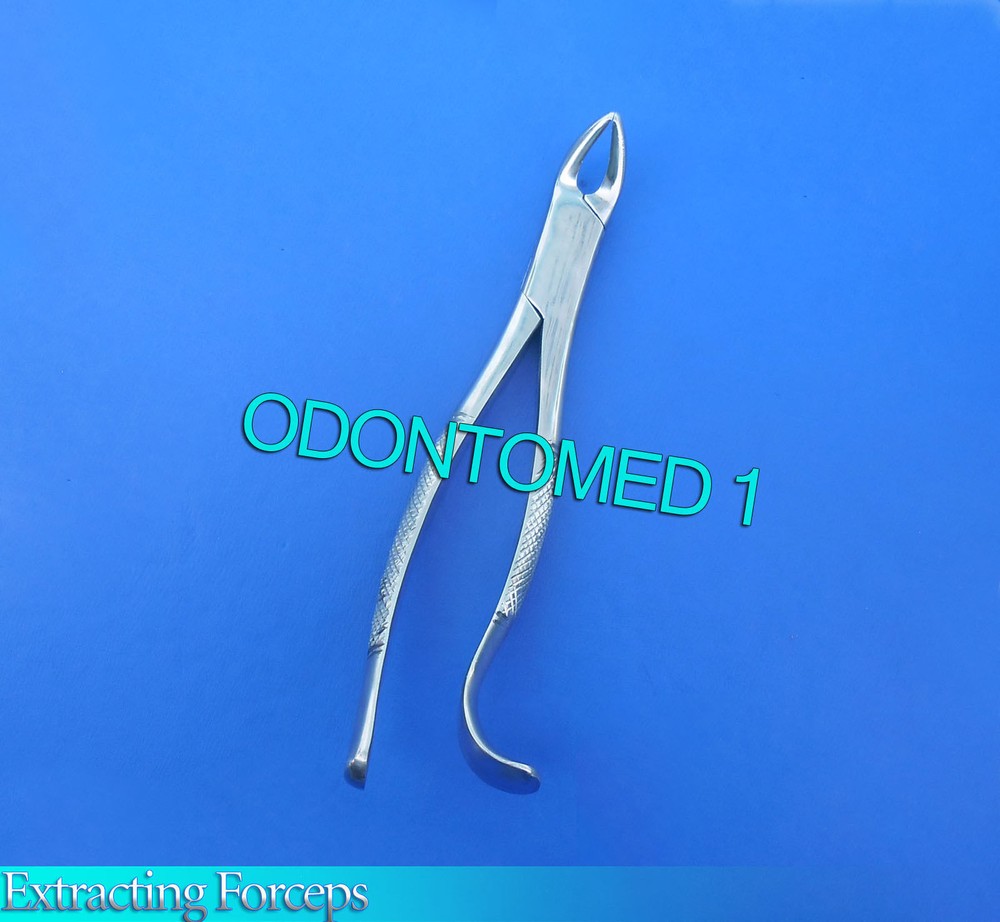 Tooth Extraction Forcep #288 Surgical Dental Instruments
