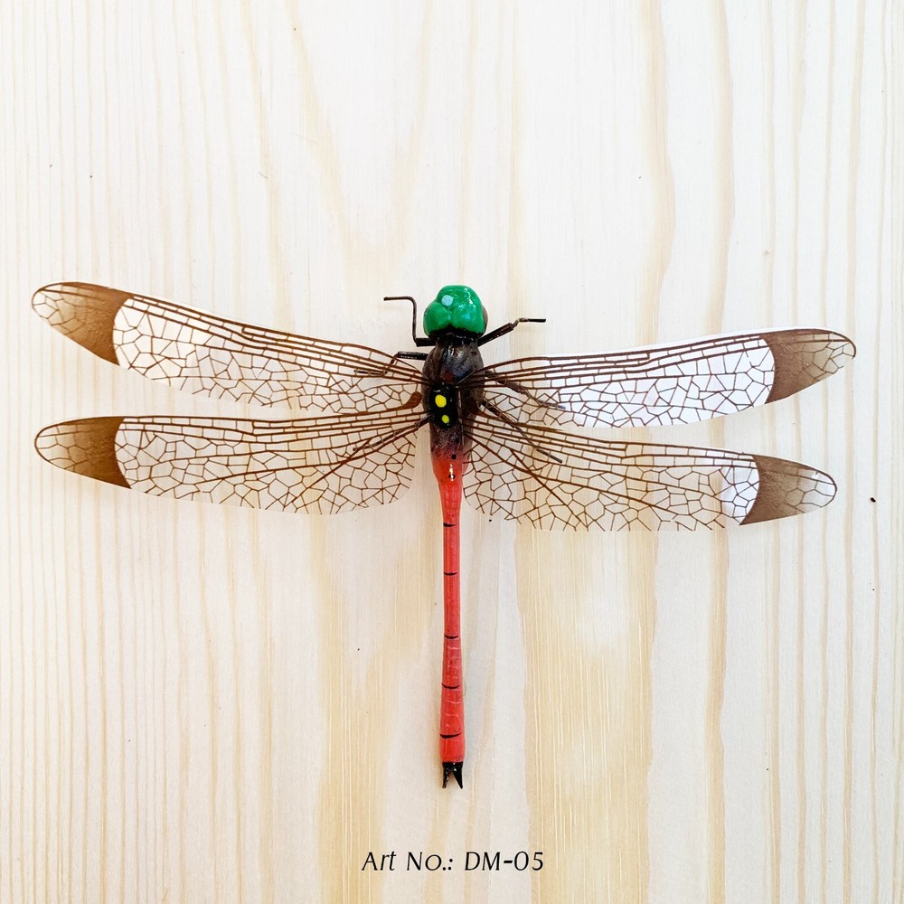 Dragonflies with Magnets