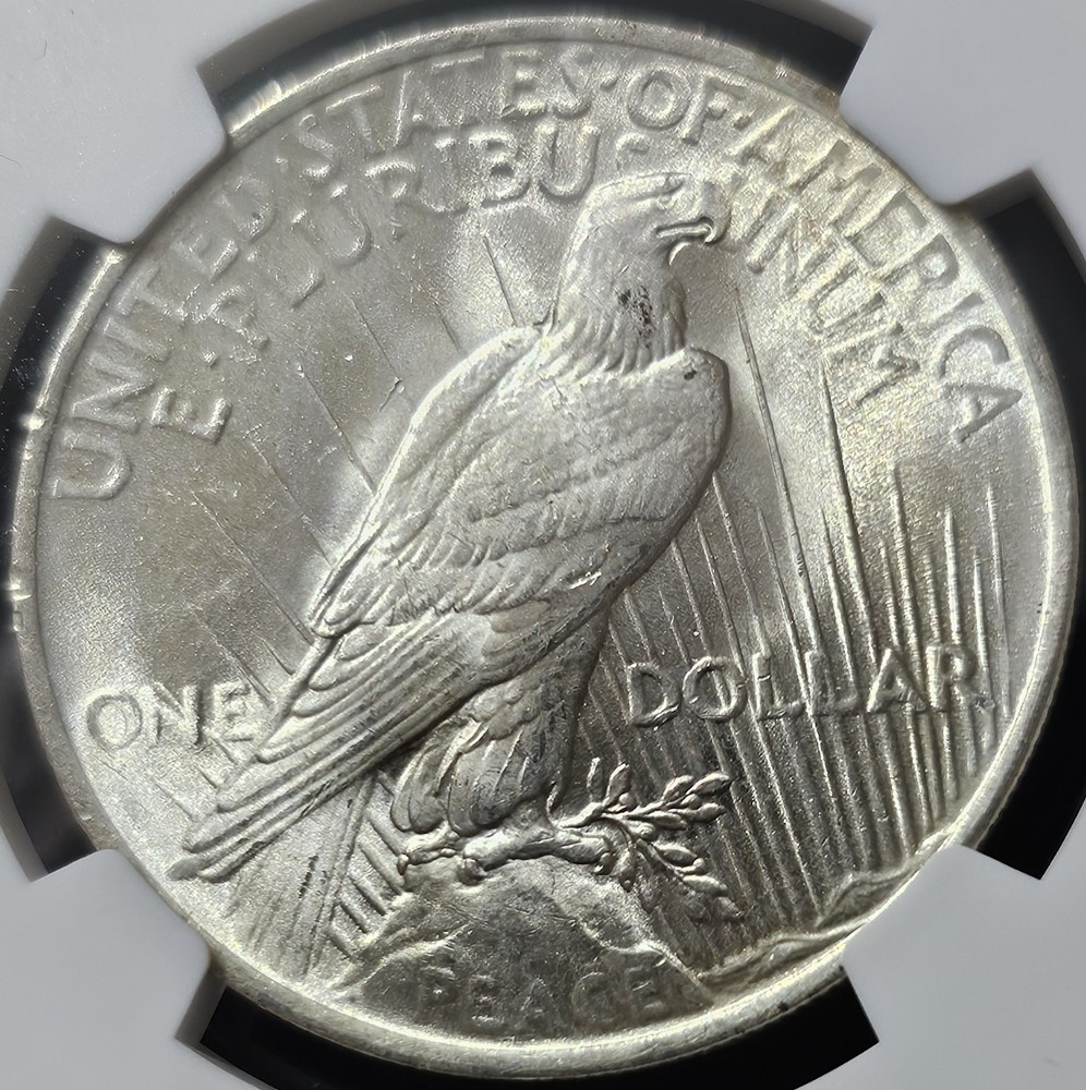 1923 Peace Dollar MS-66+ NGC VIDEO