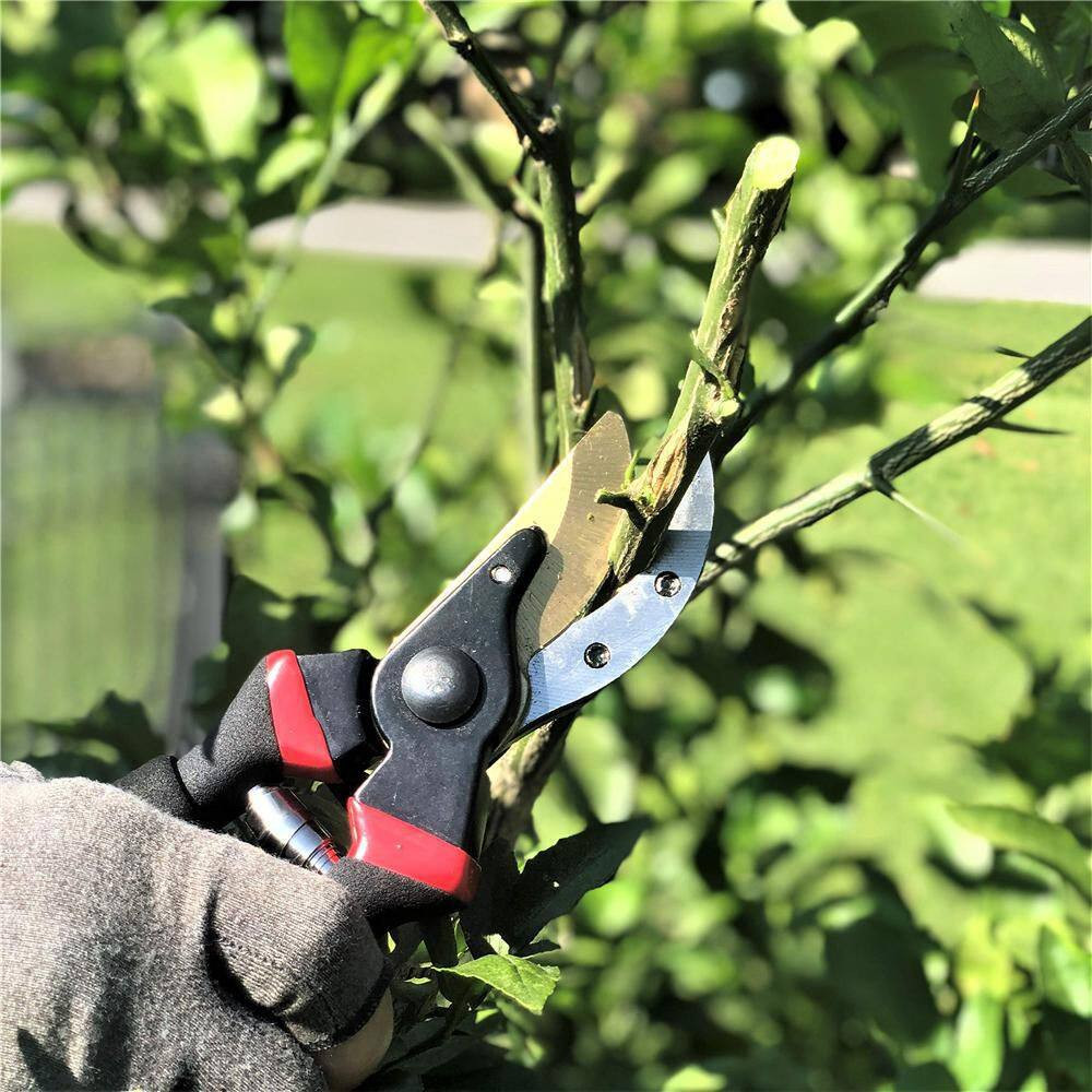 8 In. Hand Pruner, Pruning Shears, Garden Shears