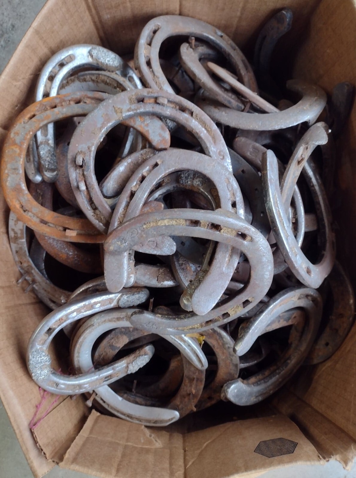 HORSESHOES -40 USED STEEL   OKLAHOMA HORSESHOES - Horse Shoe -  SHIPS FAST!