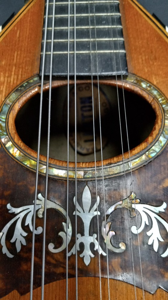 Marshall Field & Co Luxton Chicago Mandolin (READ DESCRIPTION)