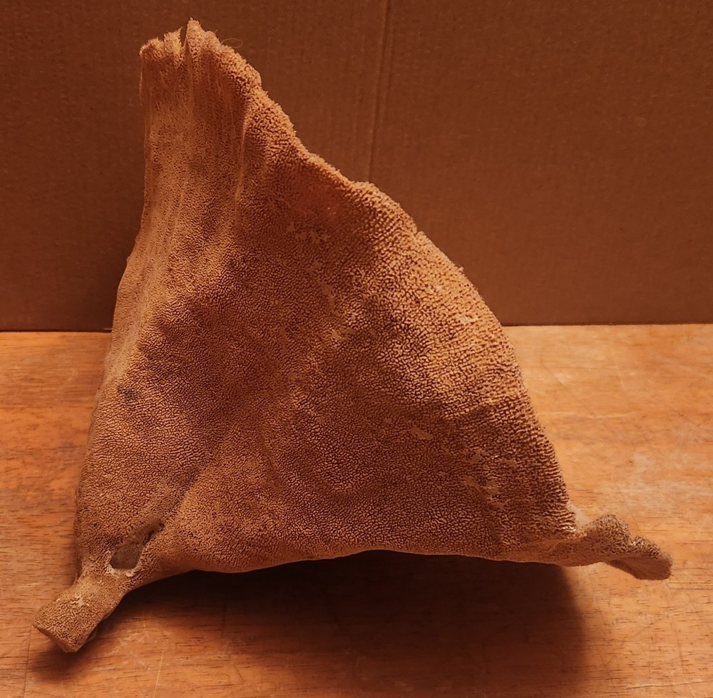 Elephant Ear Sea Sponge 9 Inch