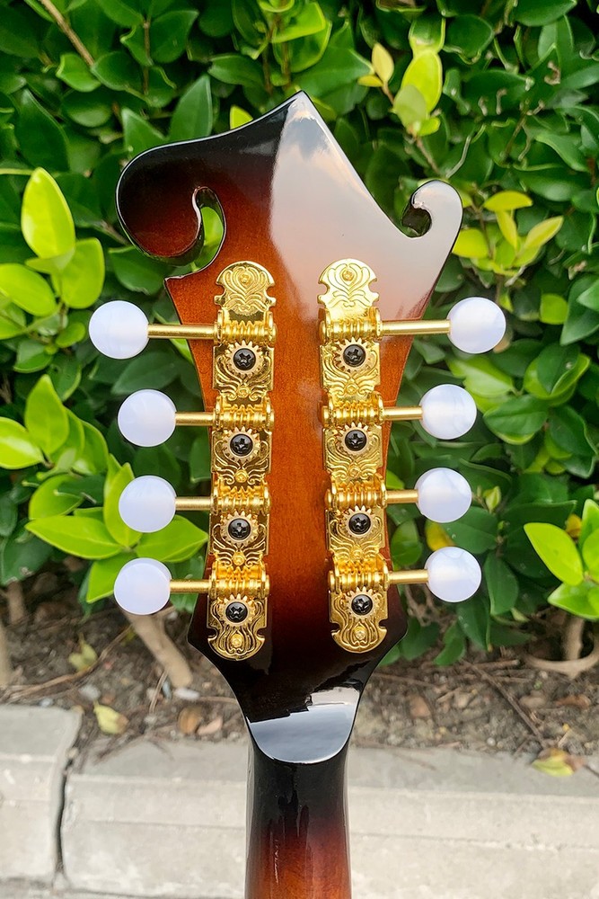 Aiersi Mandolin F Style, Solid Spruce Top 8 String Mandolin Sunburst Colour