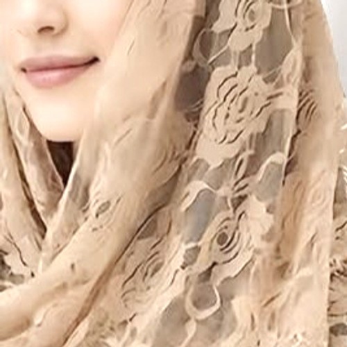 Elegant Catholic Mass Mantilla