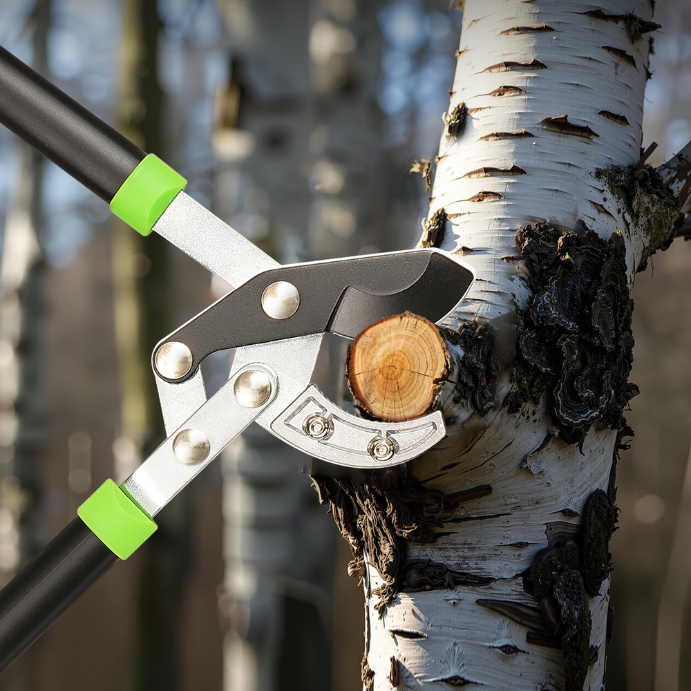 Loppers for Tree Trimming, Ergonomically Designed Handles