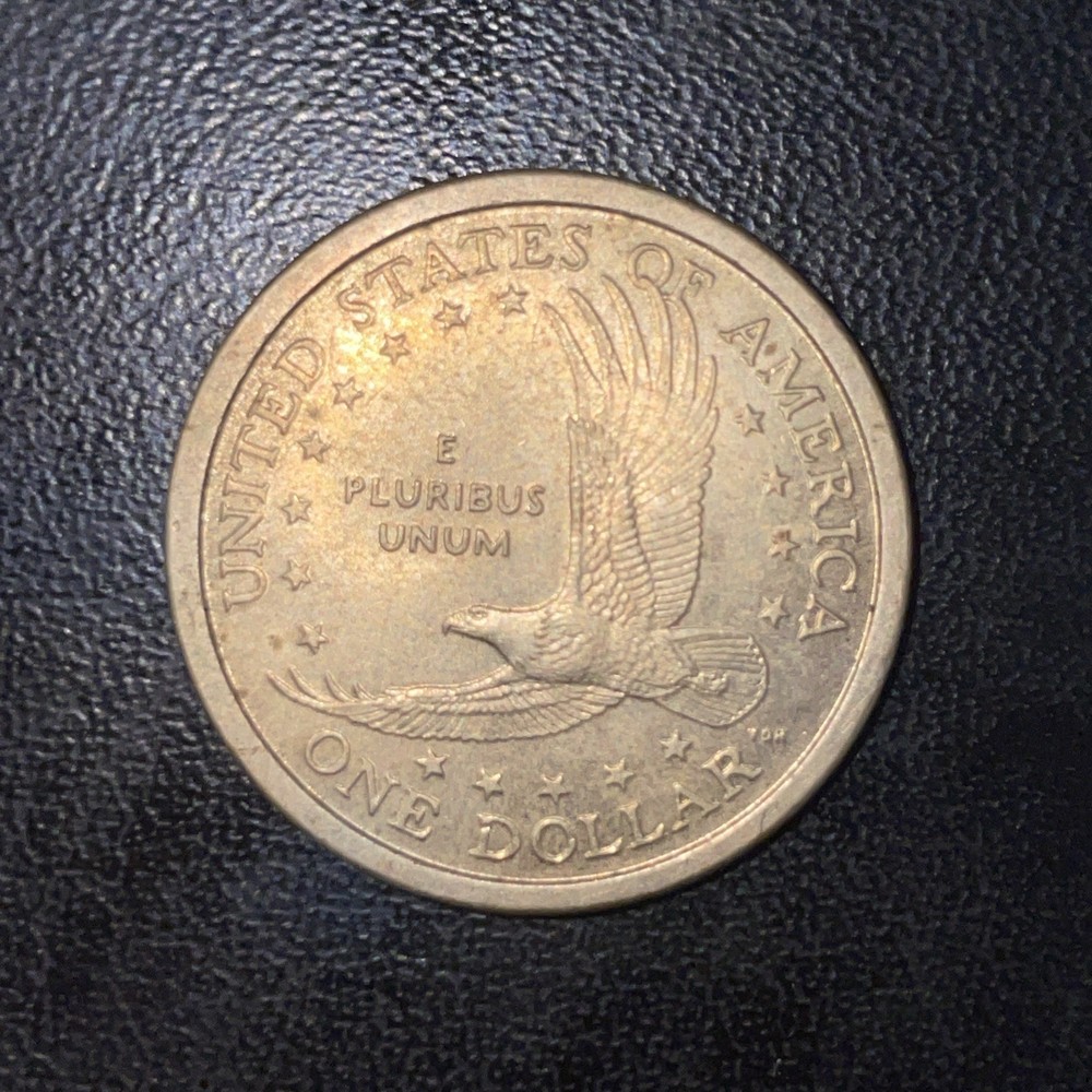 SUPER RARE NATIVE AMERICAN DOLLAR COIN YEAR 2000