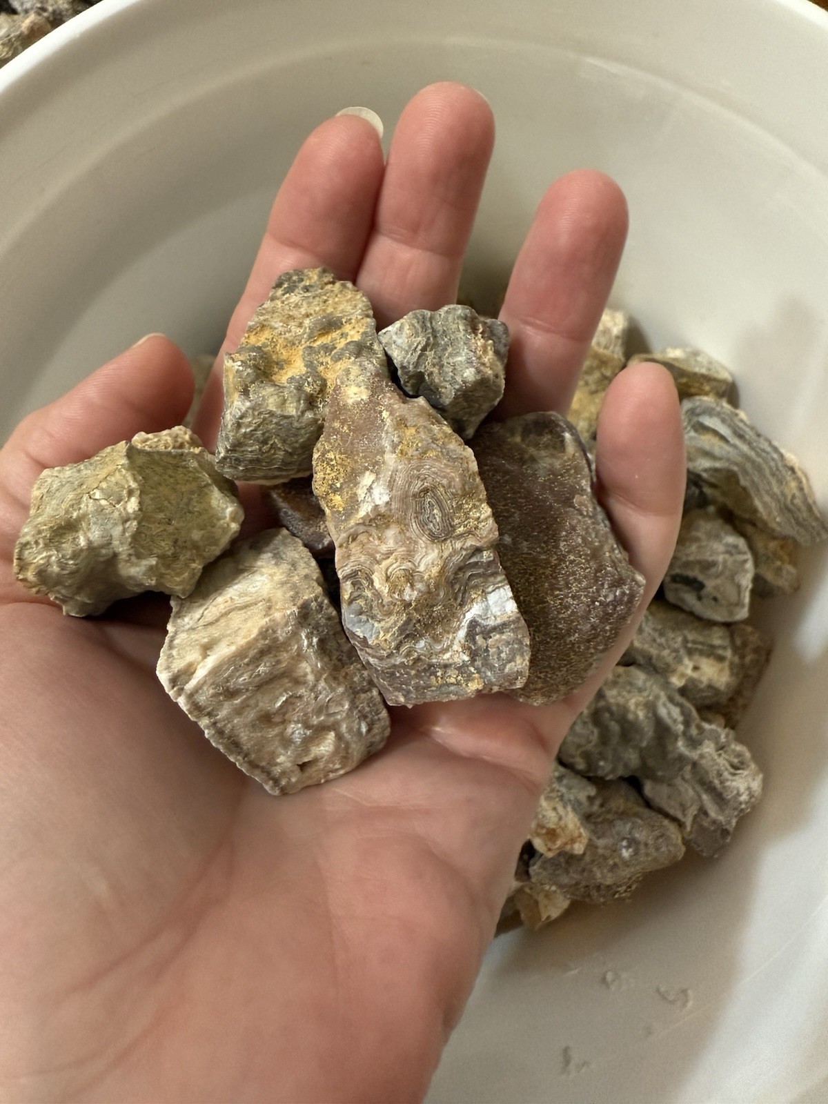 Crazy Lace Agate Rough, Lace Agate 5 lbs lot, Raw Summerville Lace Agates