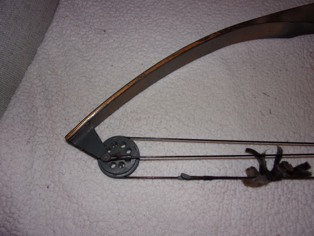 American Archery Wood Compound Bow