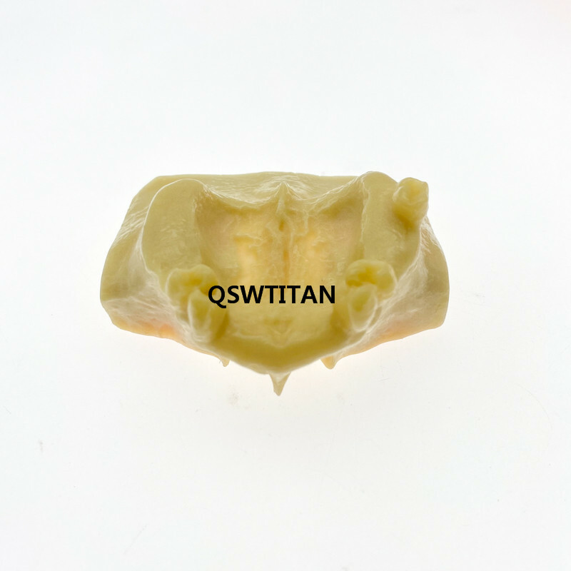 Dental Sinus Lift Practice Teeth Model Typodont Study Model 2013F