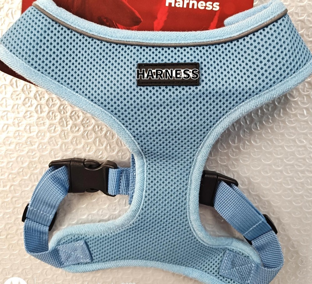 Medium Step In  Dog Harness  Mesh, No Pull Harness Lite blue