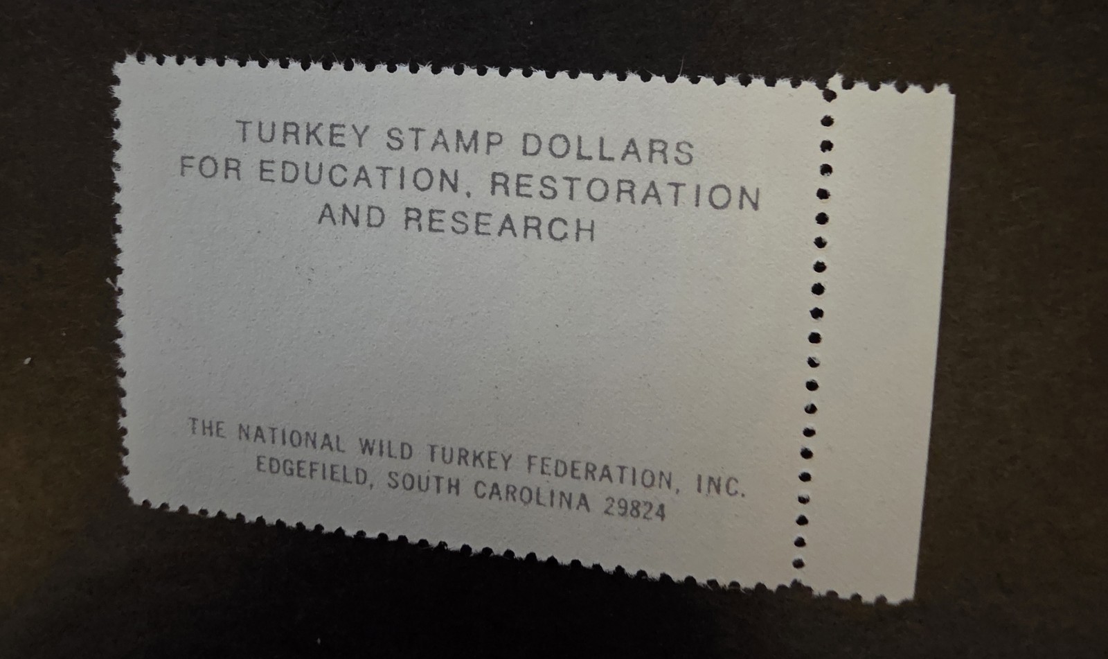 US 1981 NWTF-6 National Wild Turkey Federation Stamp - Mint OG NH Unused T17522