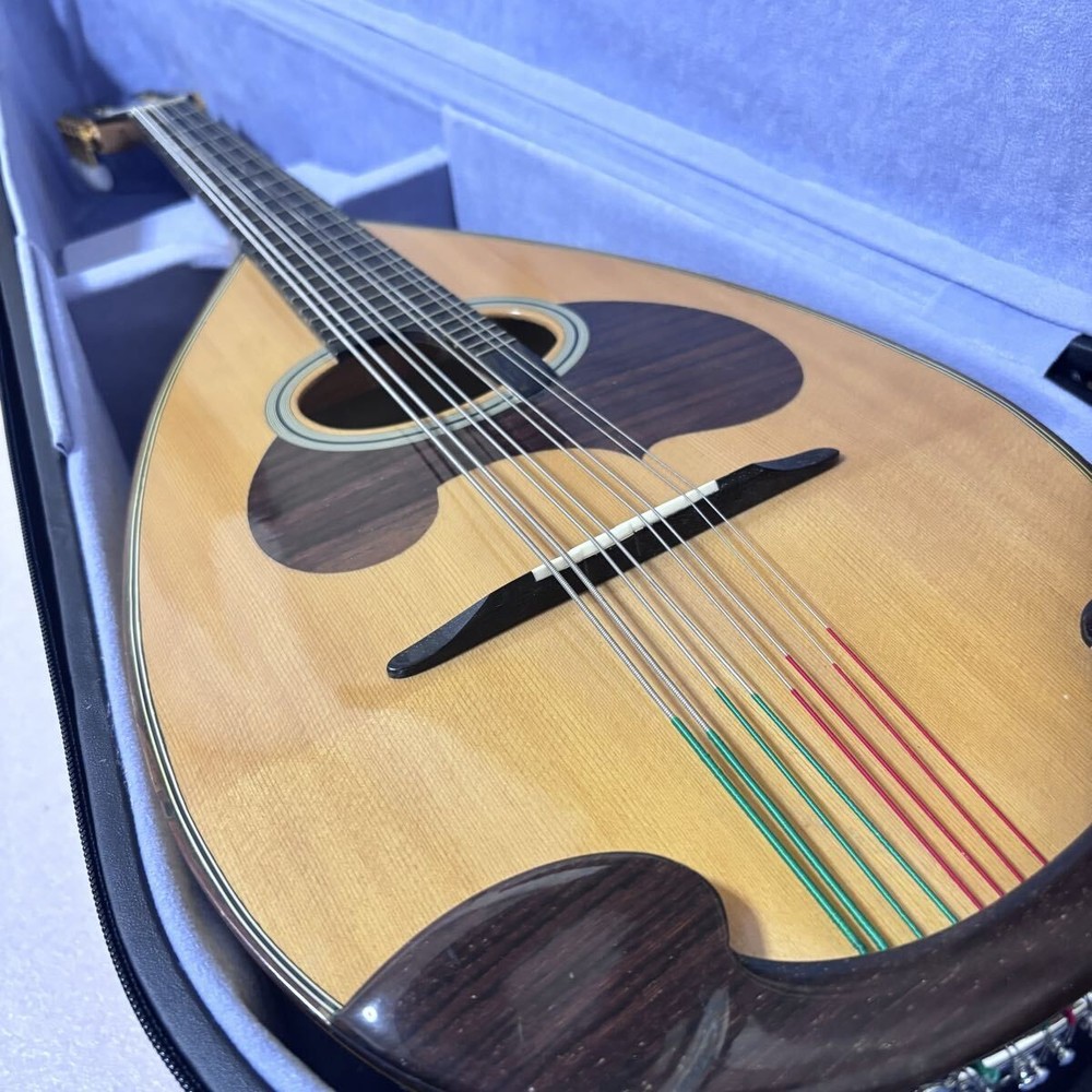 [Extremely Good Condition] SUZUKI Violin Mandola MD-8 String Instrument