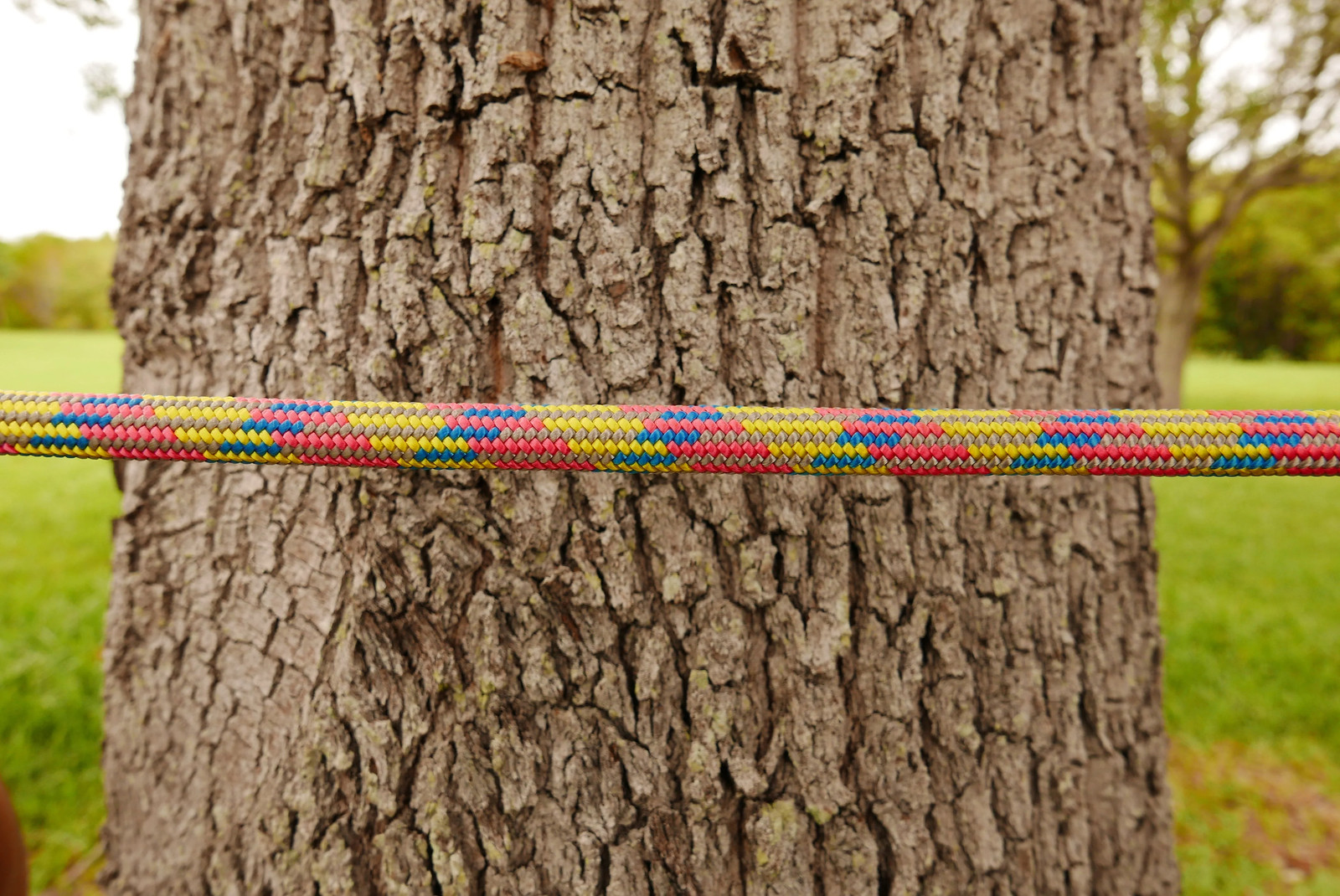 Arbo Space 11mm Horizon Bubblegum