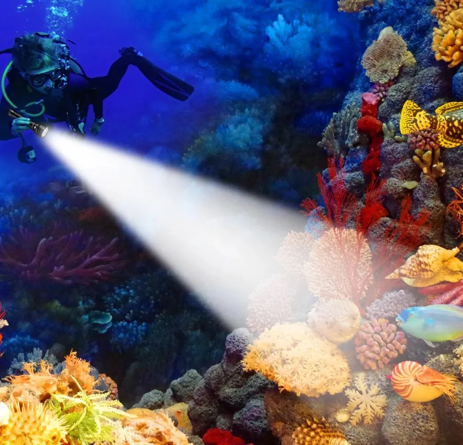 Professional Diving Flashlight Rechargeable Torch IPX8 Underwater Diving Torch