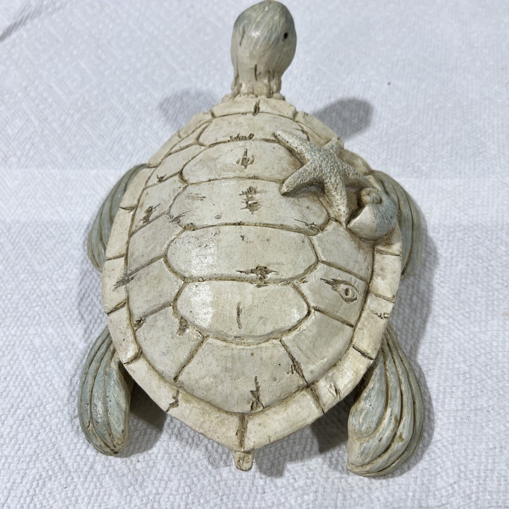 Sea Turtle Decor B1