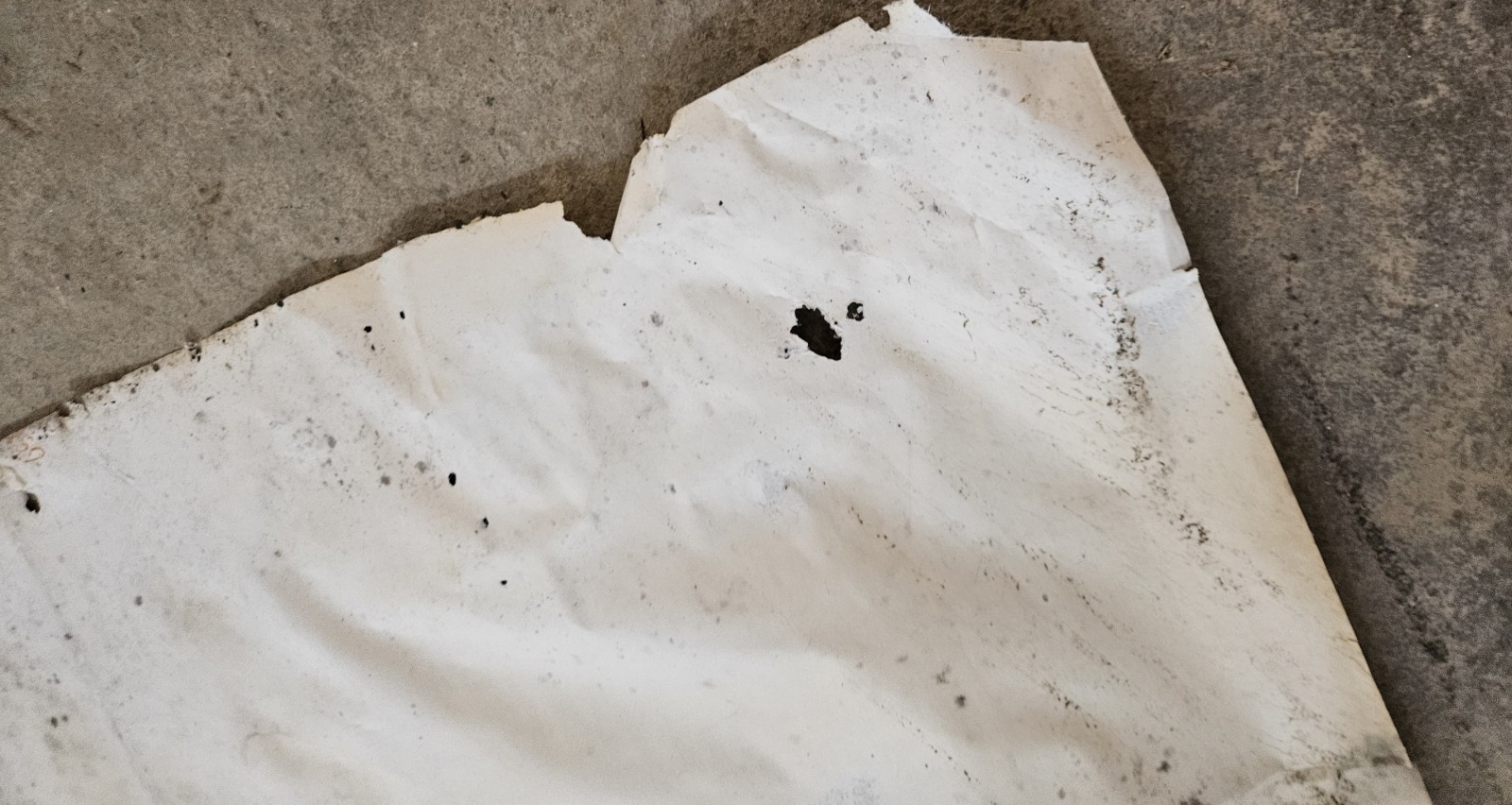 Vintage Original Riot On Sunset Strip 1967 Movie Film Poster SEE DAMAGE RARE🌴🎬