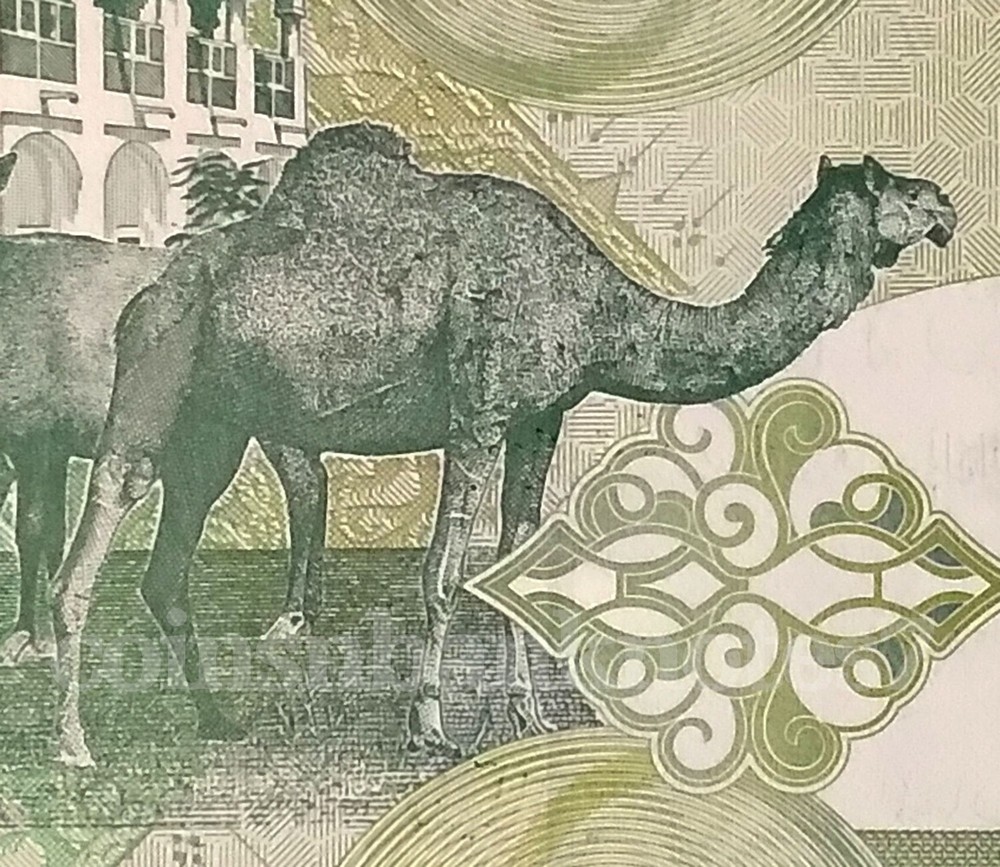 2003 Qatar 5 Riyals, P21 Uncirculated / Camel