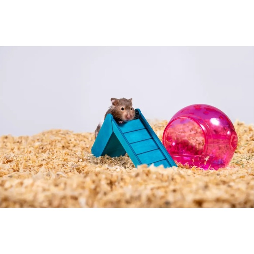 PetsPick Kiln Dried Soft Pine Bedding For Small Pets, 24L